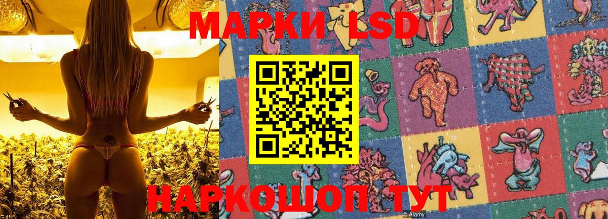 Вятские Поляны  Марки N-bome 1500мкг  закладка  Вход с VPN 