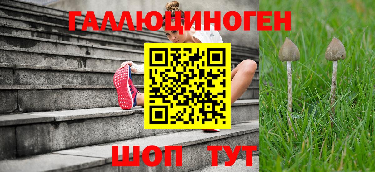 Псилоцибиновые грибы прущие грибы Вятские Поляны