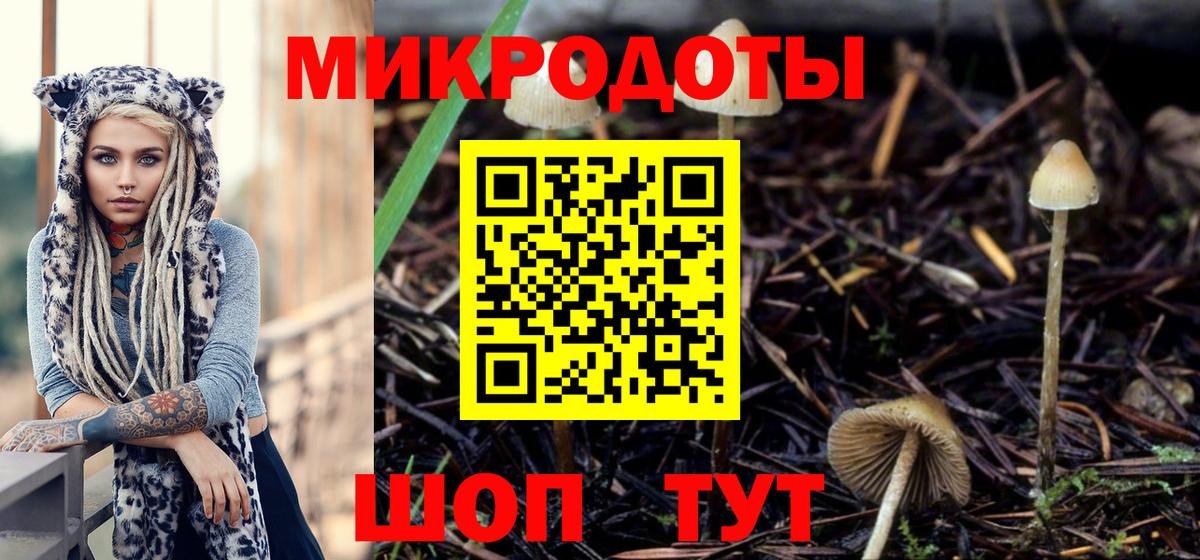 Галлюциногенные грибы Magic Shrooms  Вход с VPN  Псилоцибиновые грибы Magic Shrooms  Вятские Поляны 